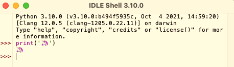 console IDLE