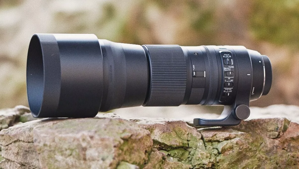 sigma 150-600 contemporain
